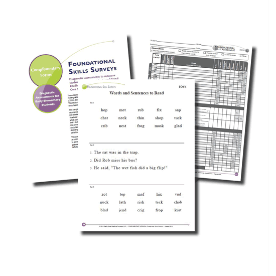 Foundational Skills Survey 