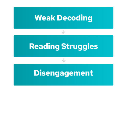 Adolescent Readers Needed More Intensive Decoding Support 
