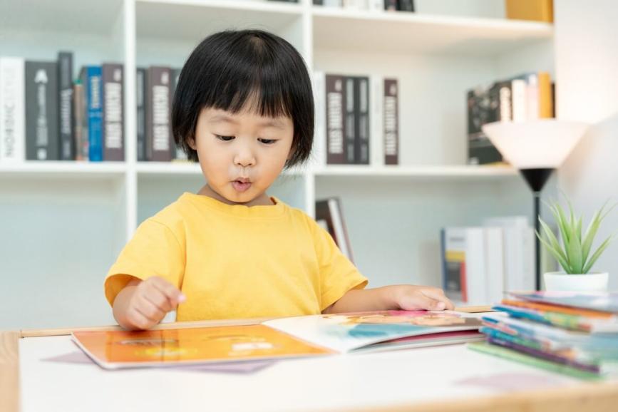 Young girl reading a book.
