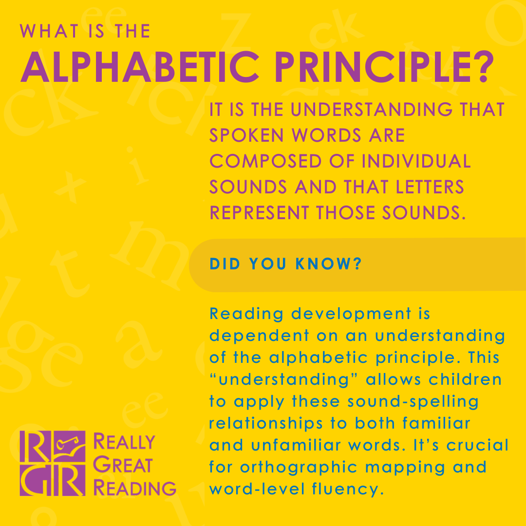 What Is the Alphabetic Principal? It is the understanding that spoken words are composed of individual sounds and that letters represent those sounds.